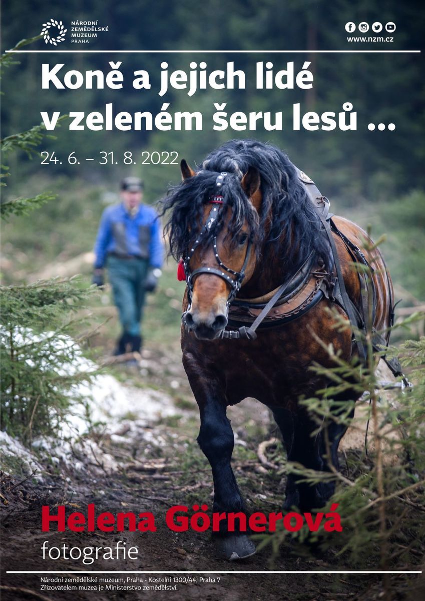  Výstava Helena Görnerová: Koně a jejich lidé v zeleném šeru lesů